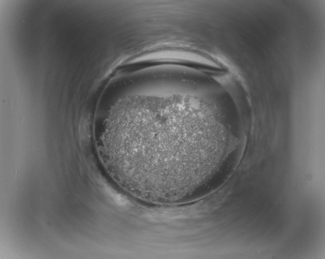 X0000082690009200702021339