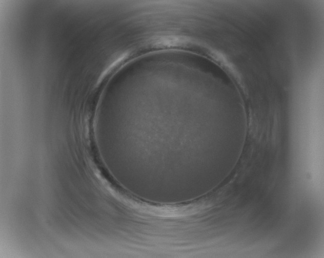 X0000082690010200702021339