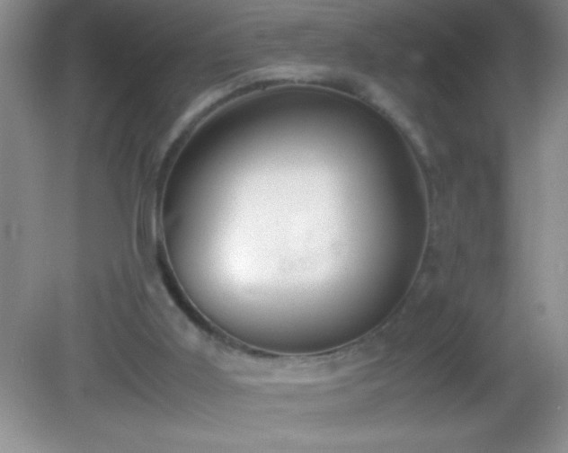 X0000082690011200702021339