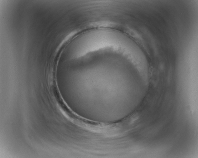 X0000082690012200702021339