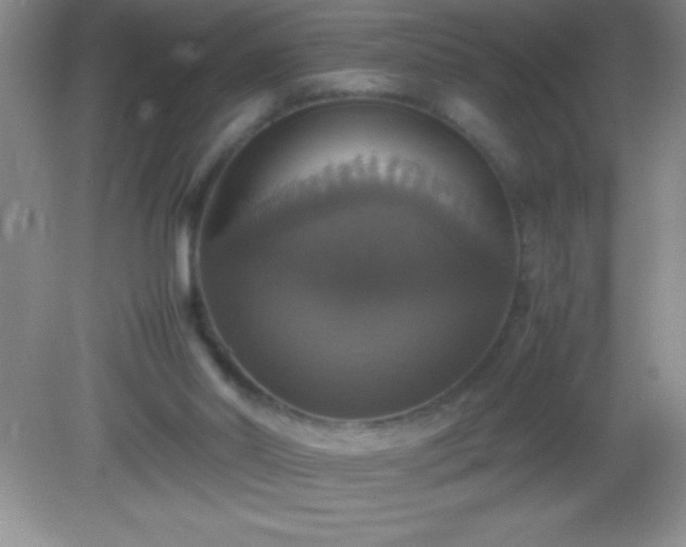 X0000082690014200702021339