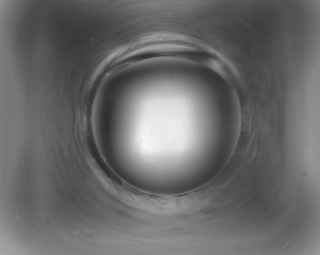 X0000082690015200702021339