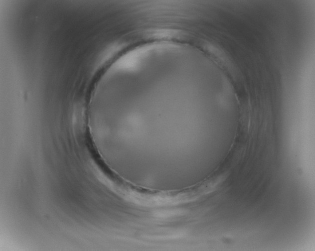 X0000082690016200702021339