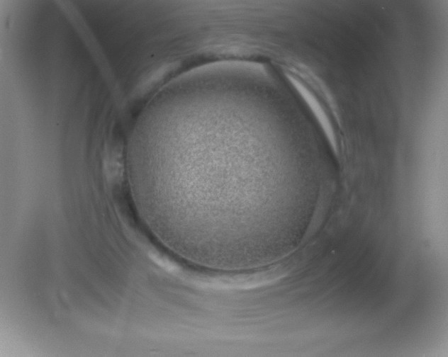 X0000082690017200702021339