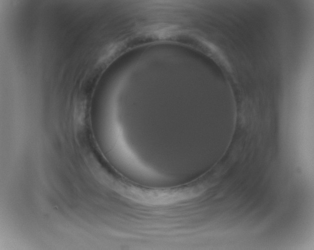 X0000082690018200702021339