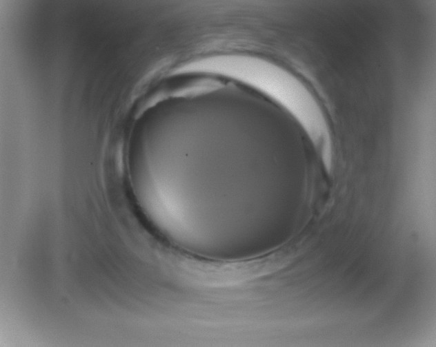 X0000082690019200702021339