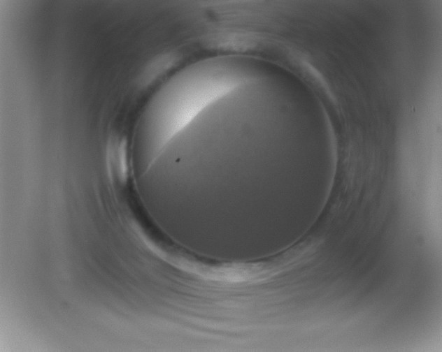 X0000082690020200702021339