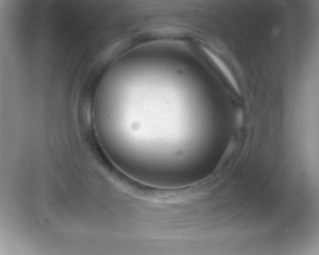 X0000082690021200702021339