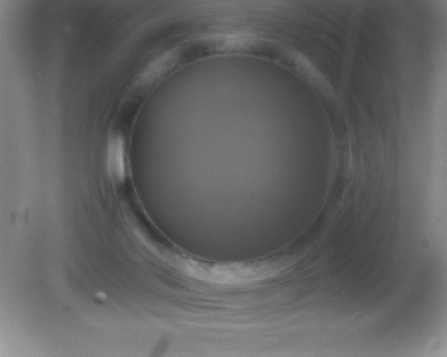 X0000082690022200702021339