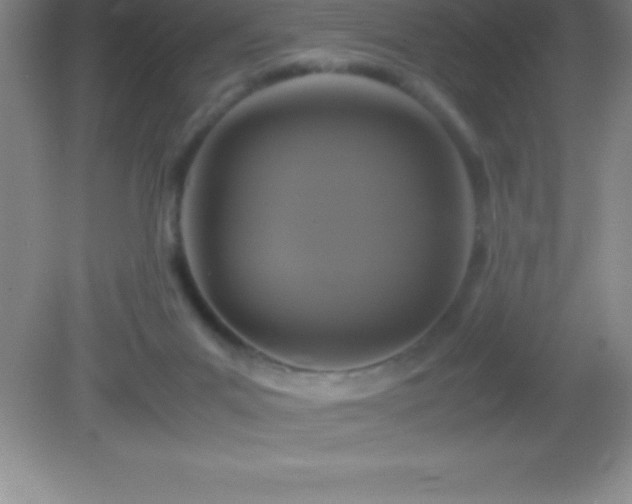 X0000082690023200702021339