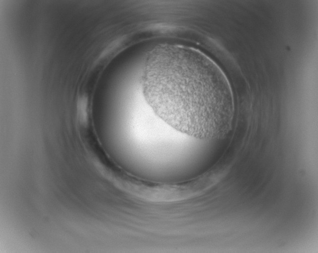 X0000082690024200702021339