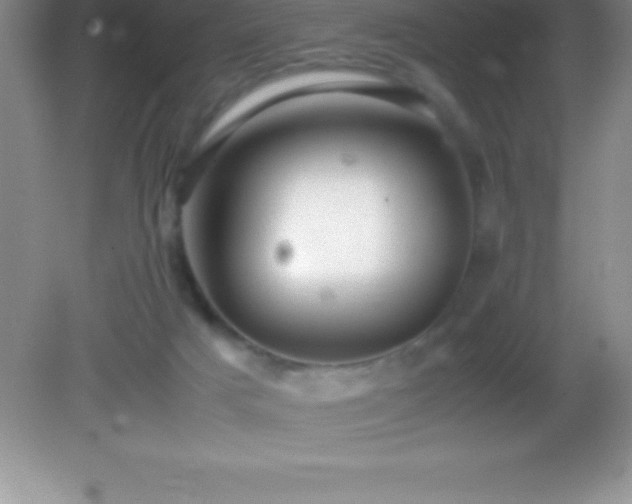 X0000082690025200702021339