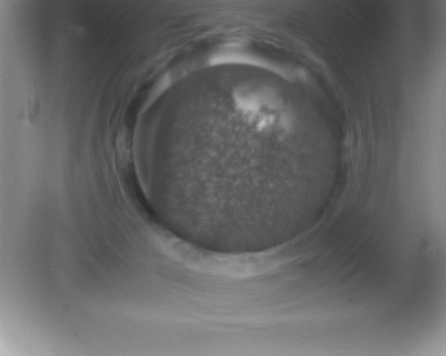 X0000082690029200702021339