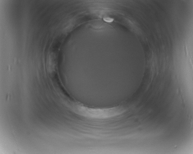 X0000082690030200702021339