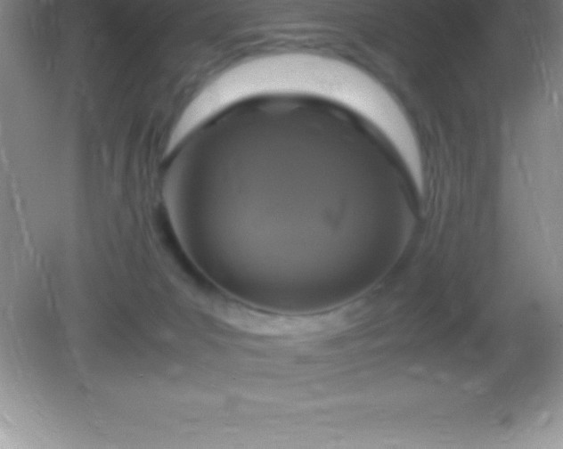 X0000082690031200702021339