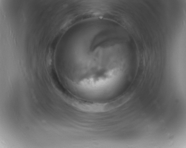 X0000082690032200702021339