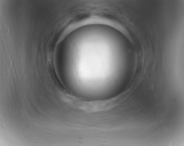 X0000082690033200702021339