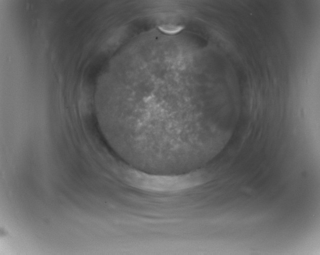 X0000082690034200702021339