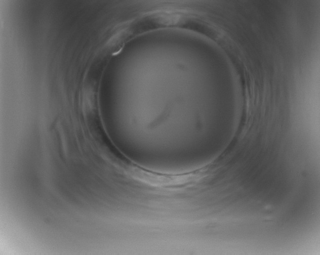 X0000082690035200702021339