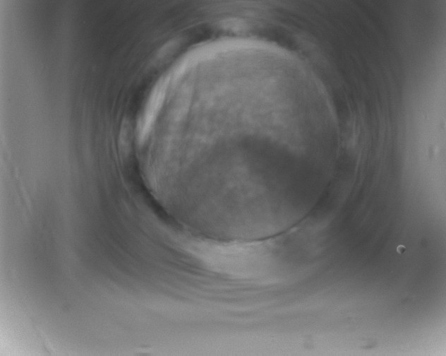 X0000082690036200702021339