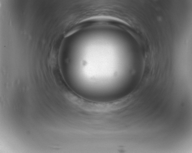 X0000082690037200702021339