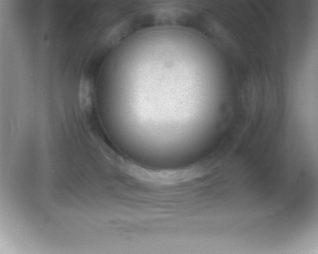 X0000082690038200702021339