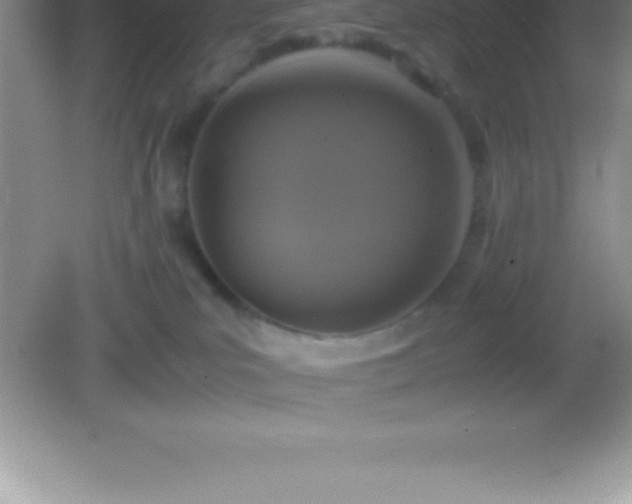 X0000082690039200702021339