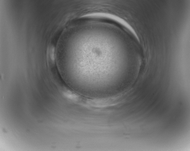 X0000082690041200702021339