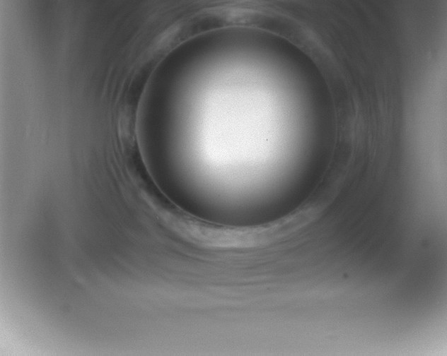 X0000082690044200702021339