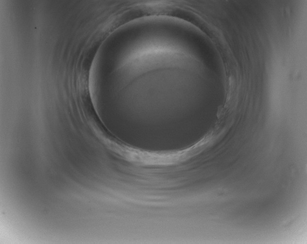 X0000082690048200702021338