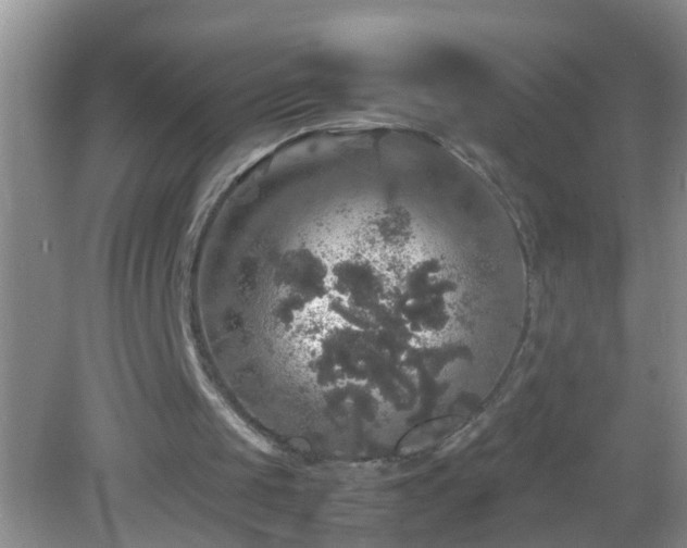 X0000082690049200702021338