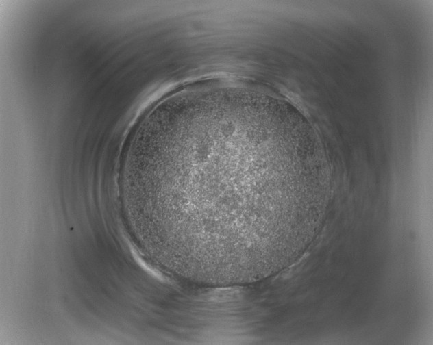 X0000082690050200702021338