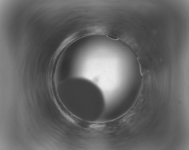 X0000082690051200702021338