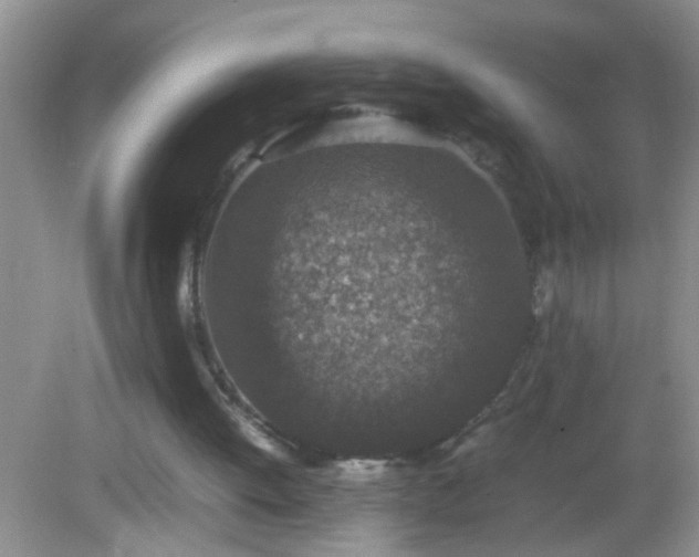 X0000082690052200702021338