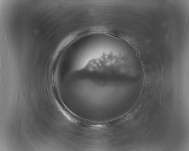 X0000082690053200702021338