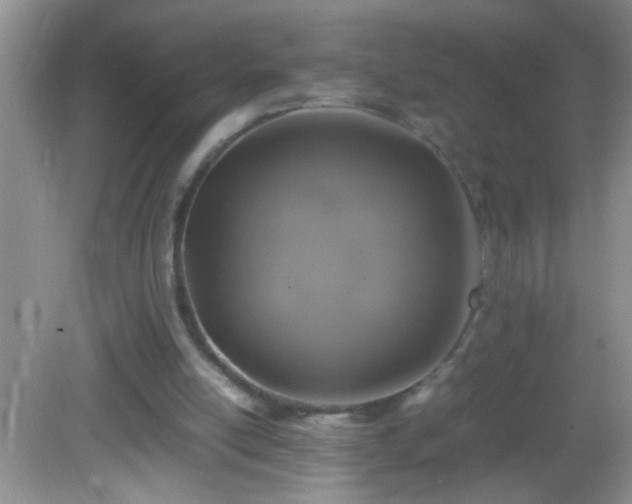 X0000082690054200702021338