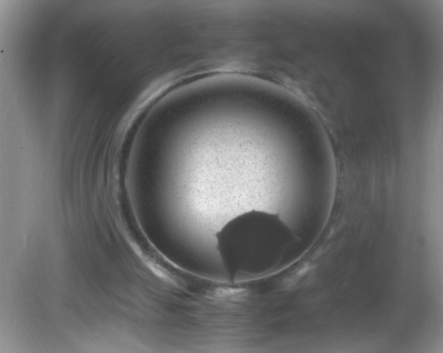 X0000082690055200702021338