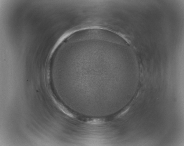 X0000082690056200702021338