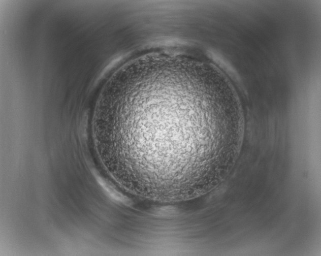 X0000082690058200702021338