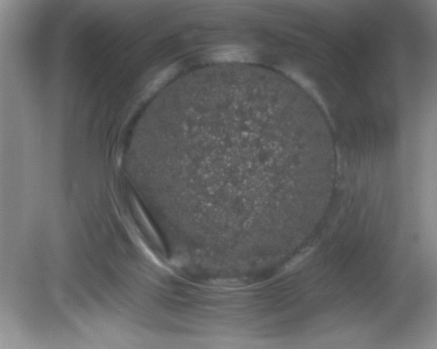 X0000082690061200702021338