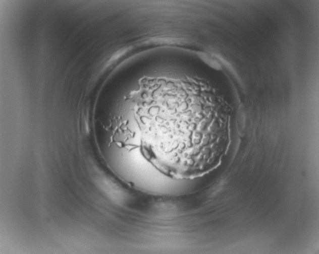 X0000082690062200702021338