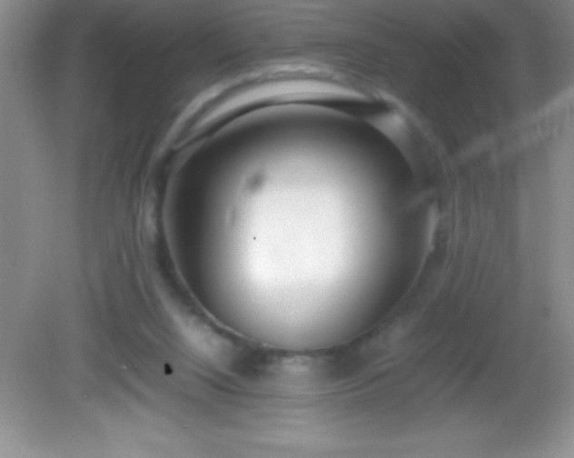 X0000082690064200702021338