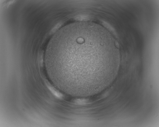 X0000082690065200702021338