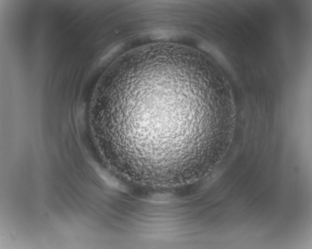 X0000082690066200702021338