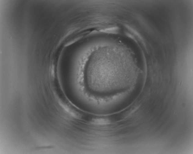 X0000082690067200702021338