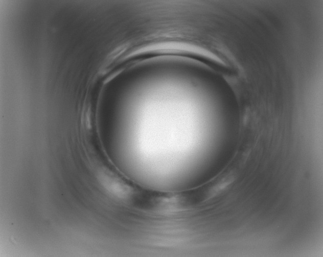 X0000082690068200702021338