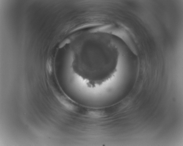 X0000082690069200702021338