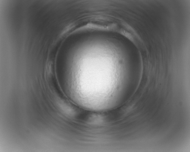 X0000082690071200702021338