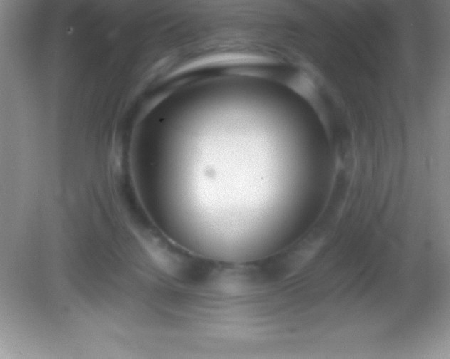 X0000082690072200702021338