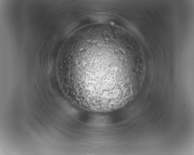 X0000082690073200702021338